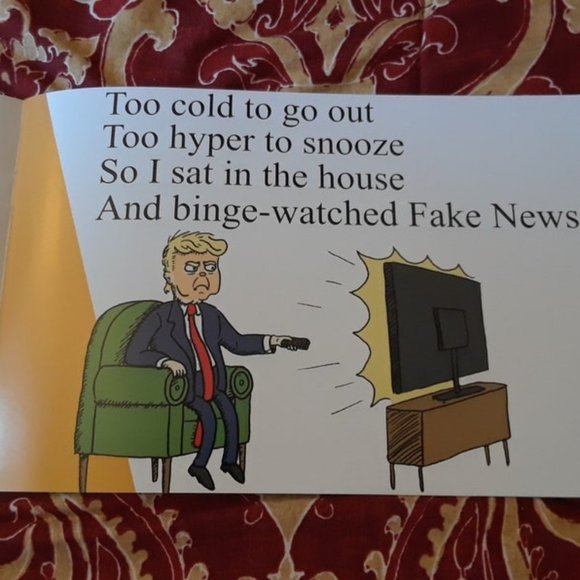 Let's Go Brandon special Donald Trump Children's Book S Holes in S Ville 10 pack - Picture 4 of 8